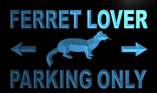 Ferret Lover Parking Only Neon Light Sign